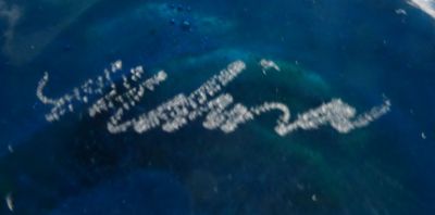 Mdina Ming jar
Mark
Keywords: vase;mark;maltese