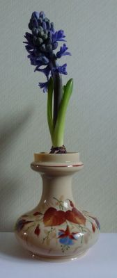 Bohemian enamelled hyacinth vase
In action January 2012. Hyacinthus 'Delft Blue'
Keywords: vase;hyacinth;enamelgilt