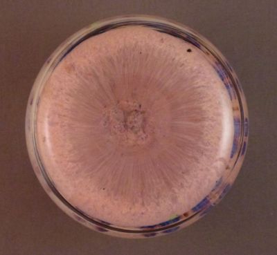 Late Strathearn/early Perthshire 1
Fire polished base
Keywords: british